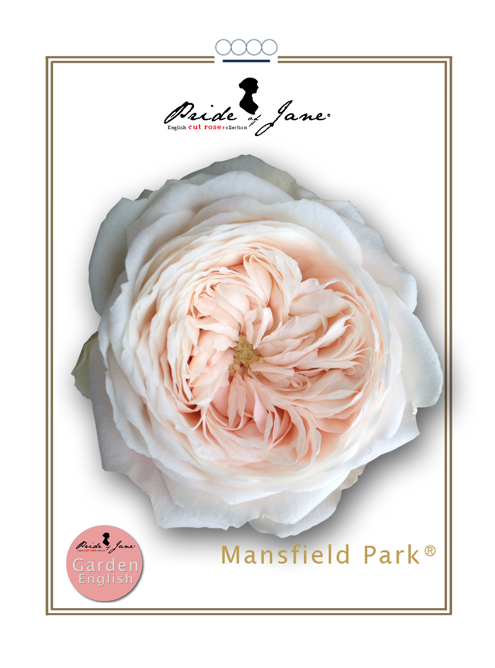 Mansfield Park®