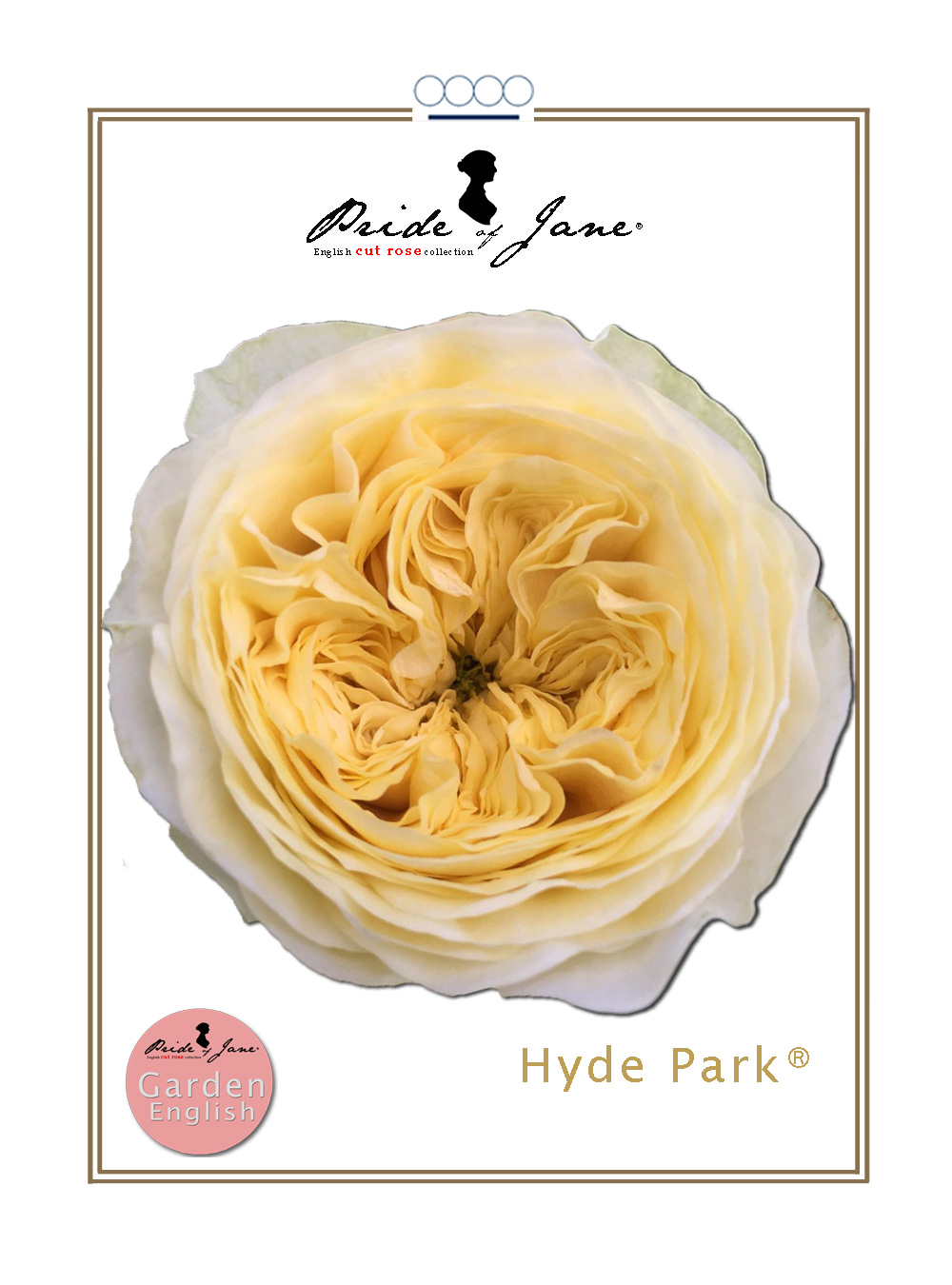 Hydepark®
