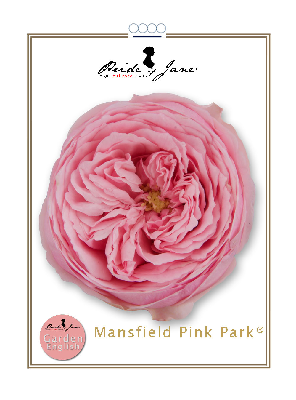 Mansfield Pink Park®