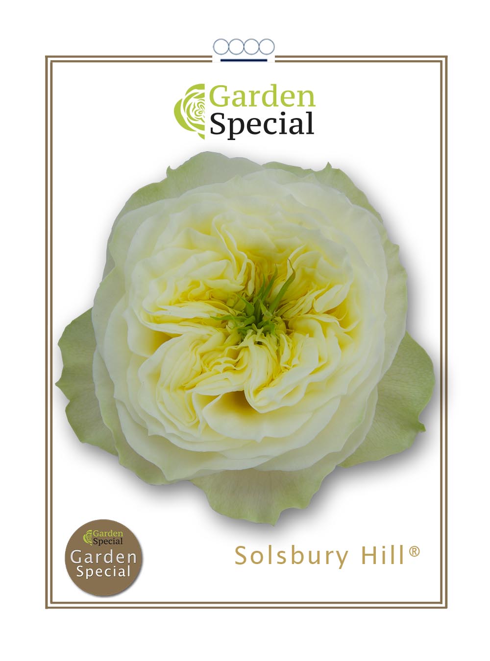 Solsbury Hill®
