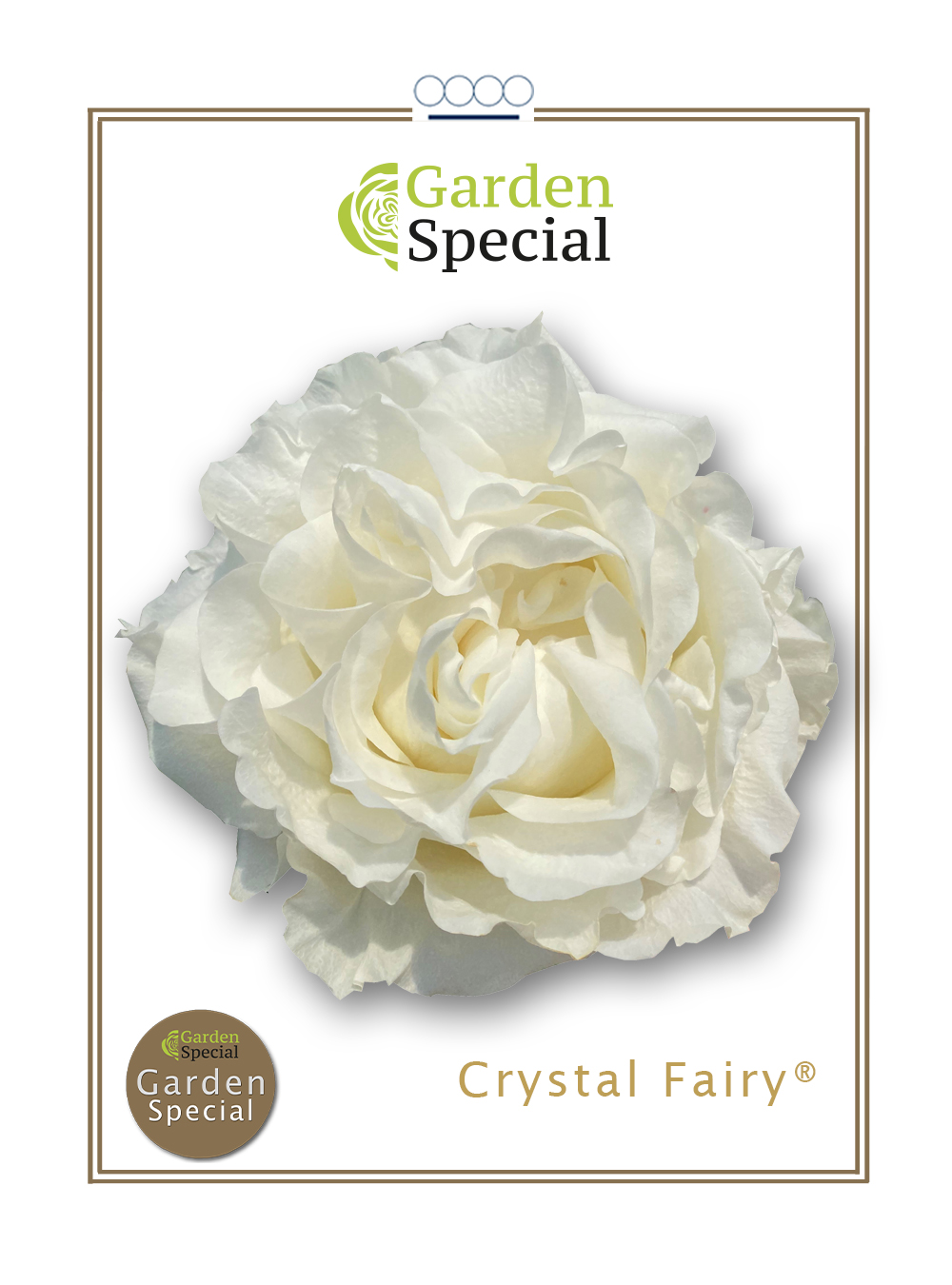 Crystal Fairy®