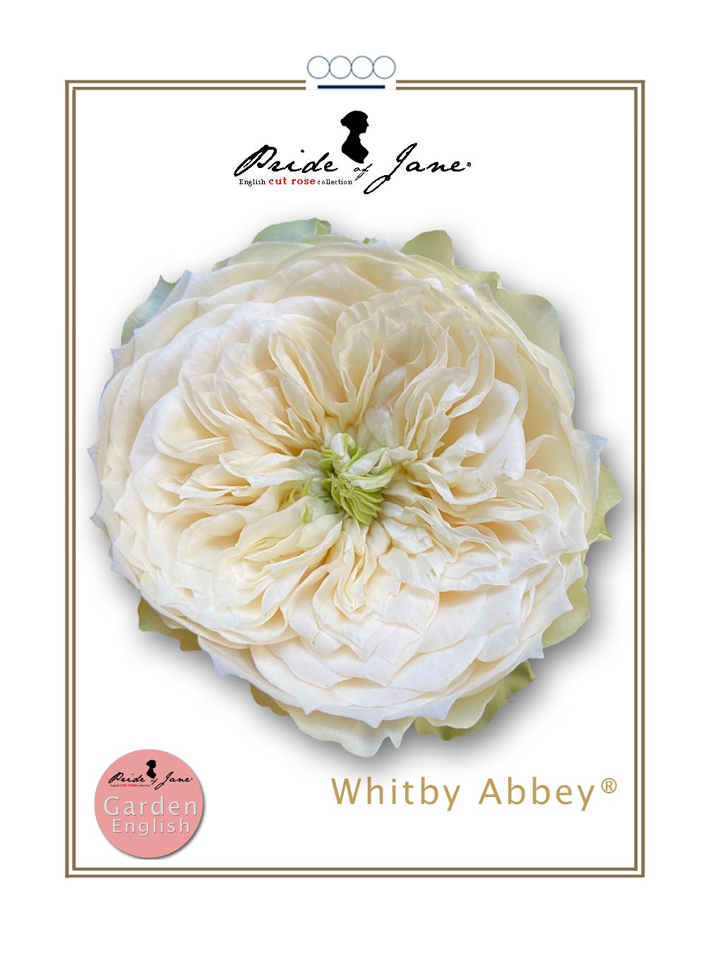 Whitby Abbey®