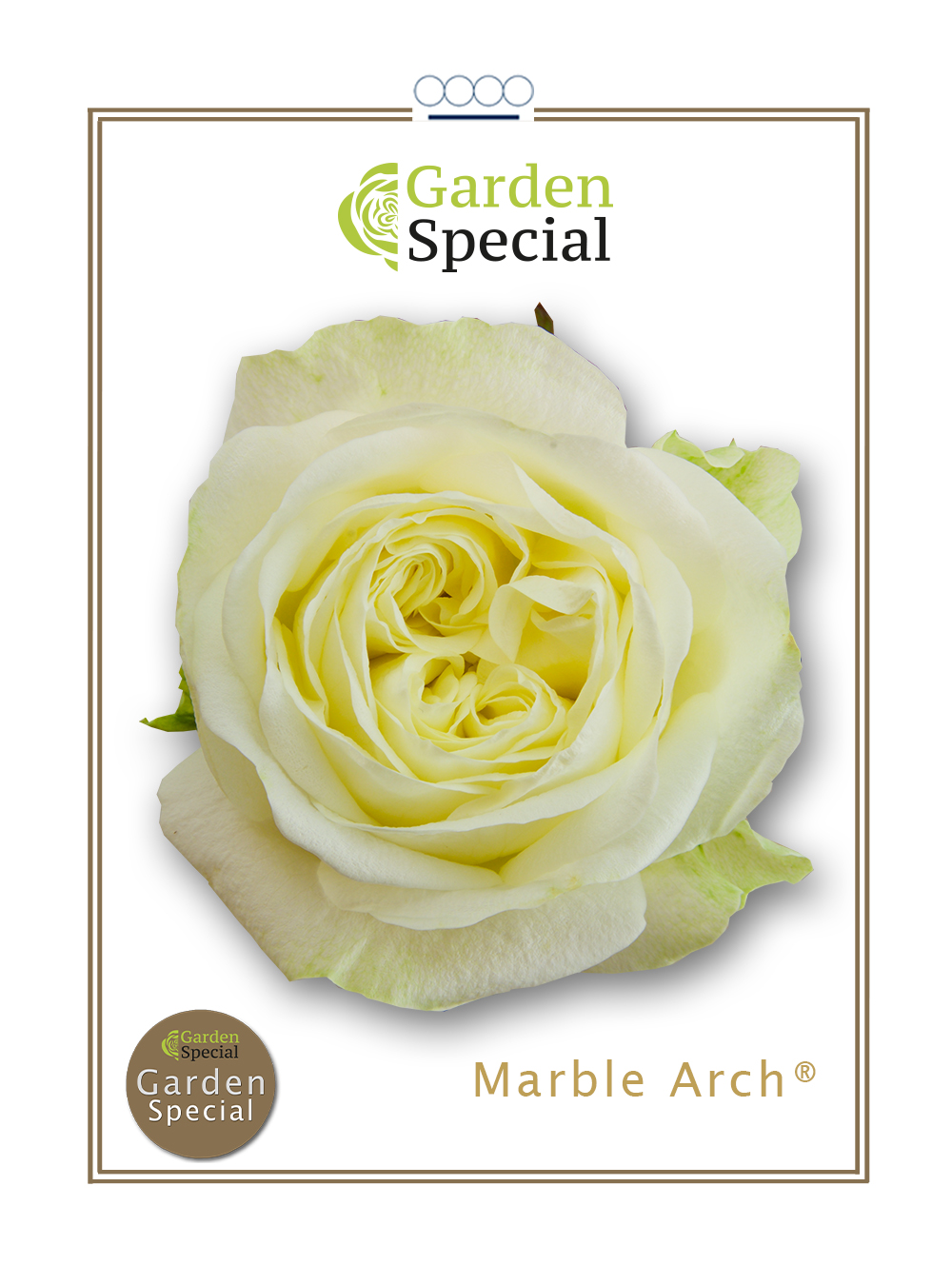Marble Arch®