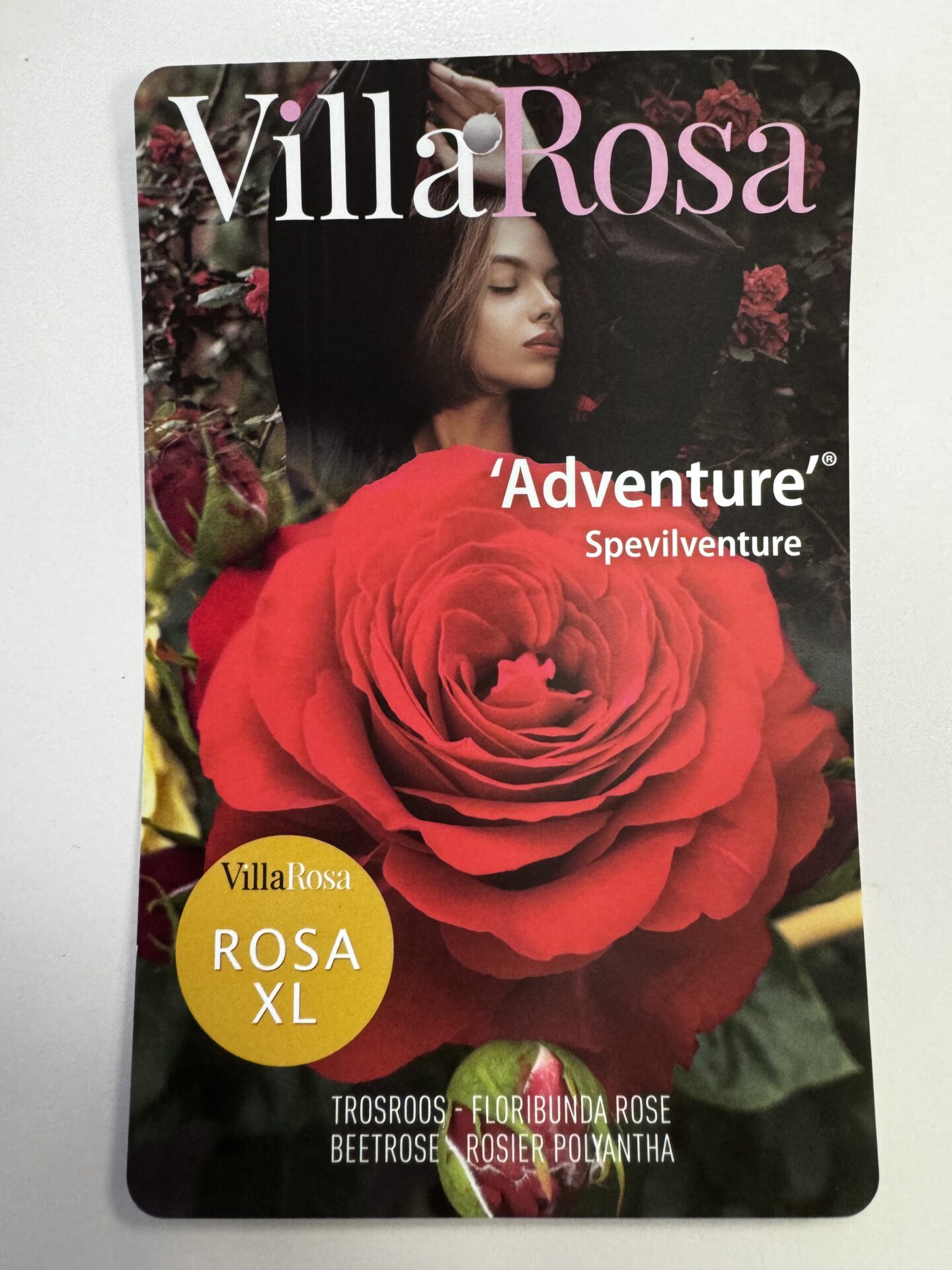 Villa Rosa “Adventure”®